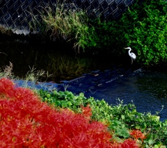 今日はやたらと狙われる(汗)