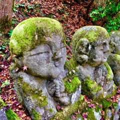 そろそろだねぇ