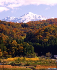 里の紅葉と雪の立山