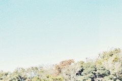 空 鎌倉