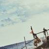 coast4