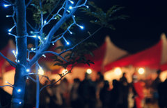 Festival in December