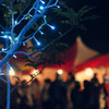 Festival in December