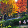 Autumn in the zoo