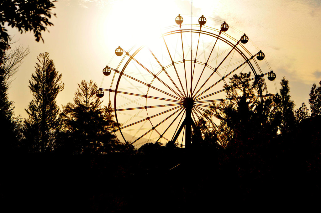 Diamond Wheel