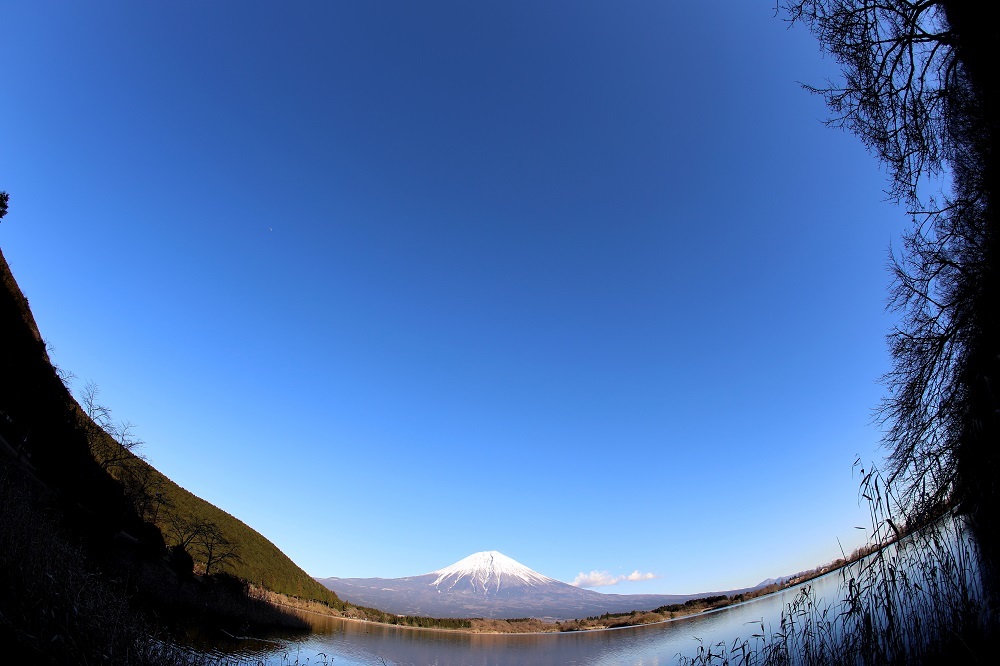 Fish eye　Mt.F