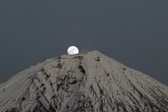 Pearl  Mt.F