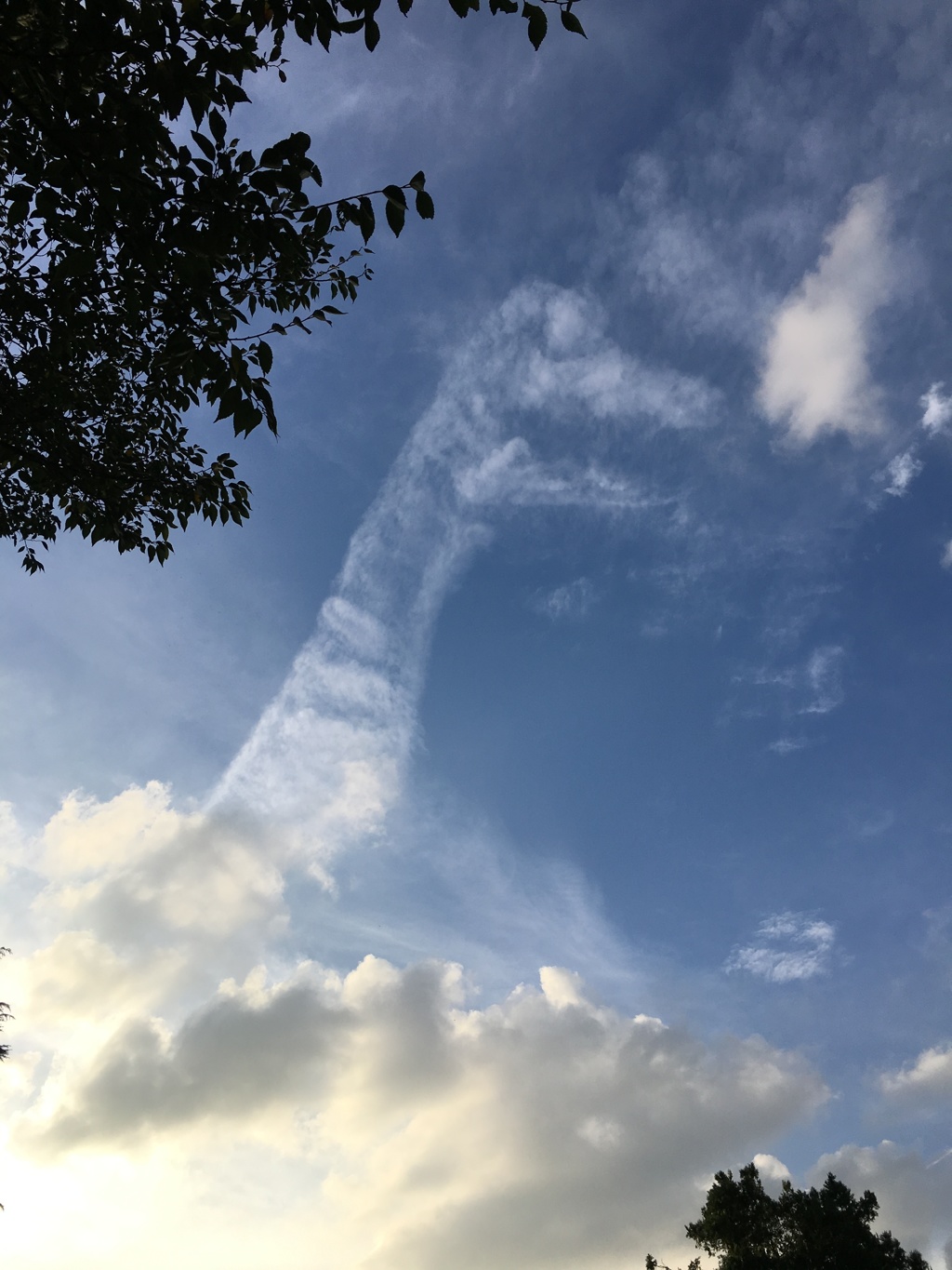 空に恐竜が…！