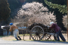 奥播磨かかしの里（兵庫県姫路市）