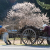 奥播磨かかしの里（兵庫県姫路市）