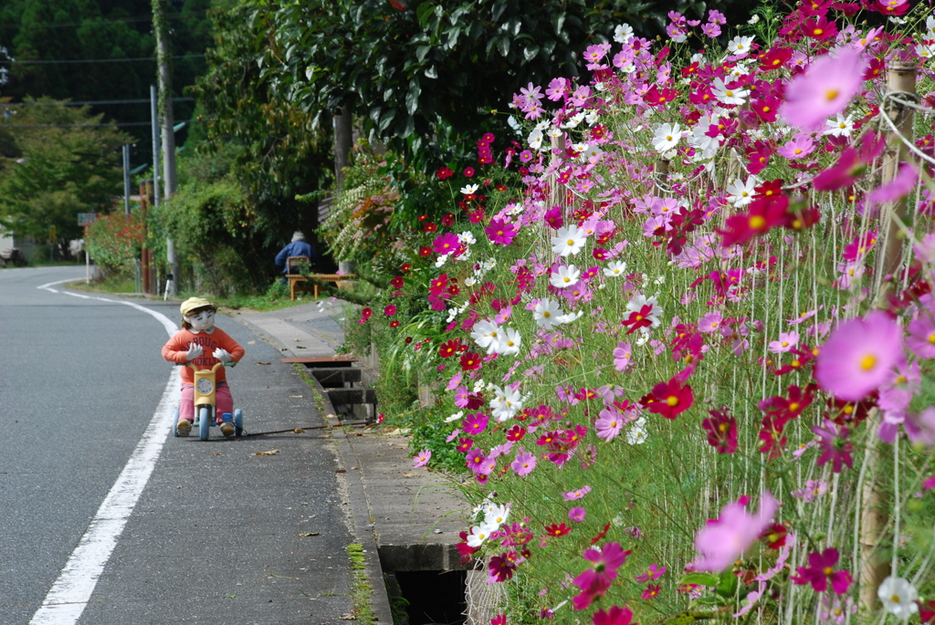 奥播磨かかしの里（姫路市安富町）