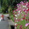 奥播磨かかしの里（姫路市安富町）
