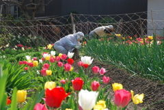奥播磨かかしの里（兵庫県姫路市）