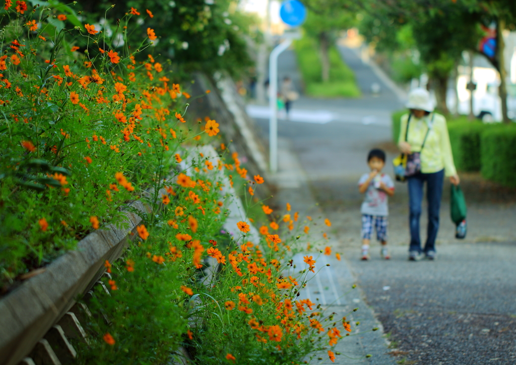 帰り道 (^^♪