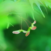 遠くまで もっと遠くまで