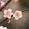 ほんのり優しい♡