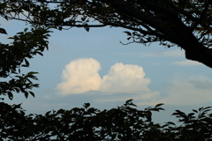 仲良し雲♡