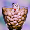 たーにゃん　酒を待つ
