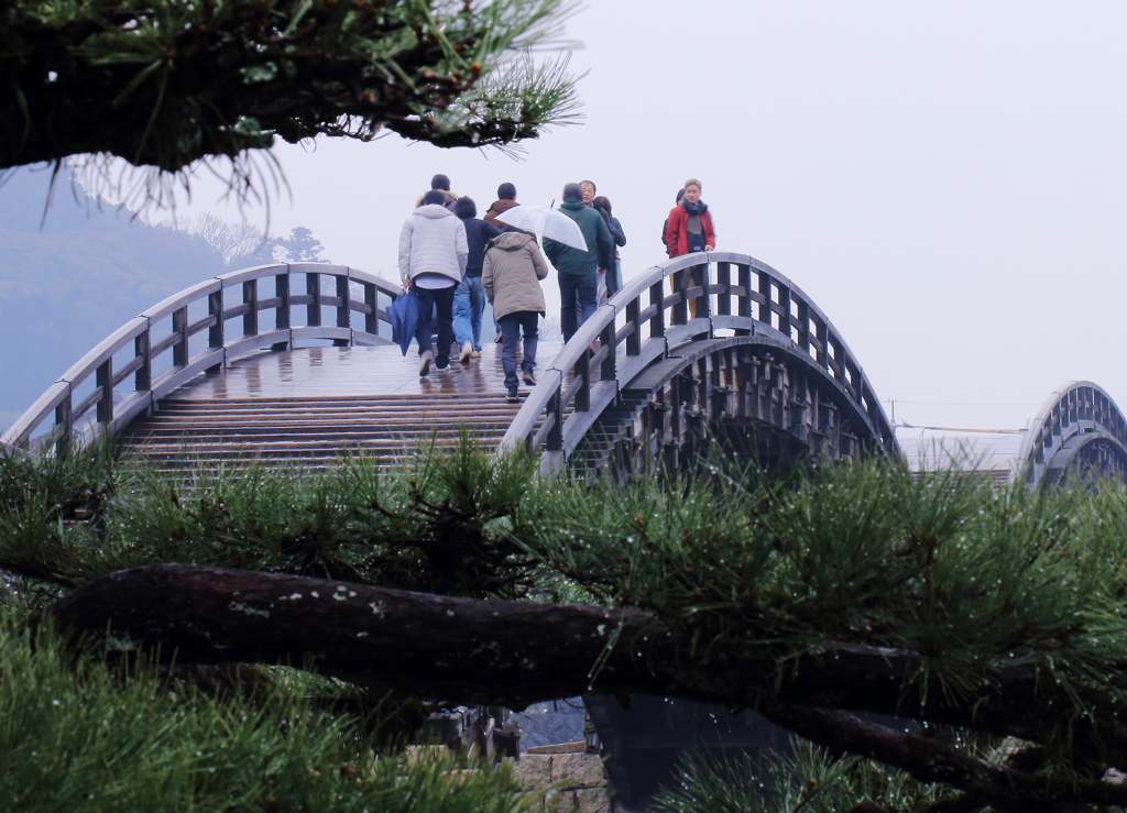 雨の錦帯橋