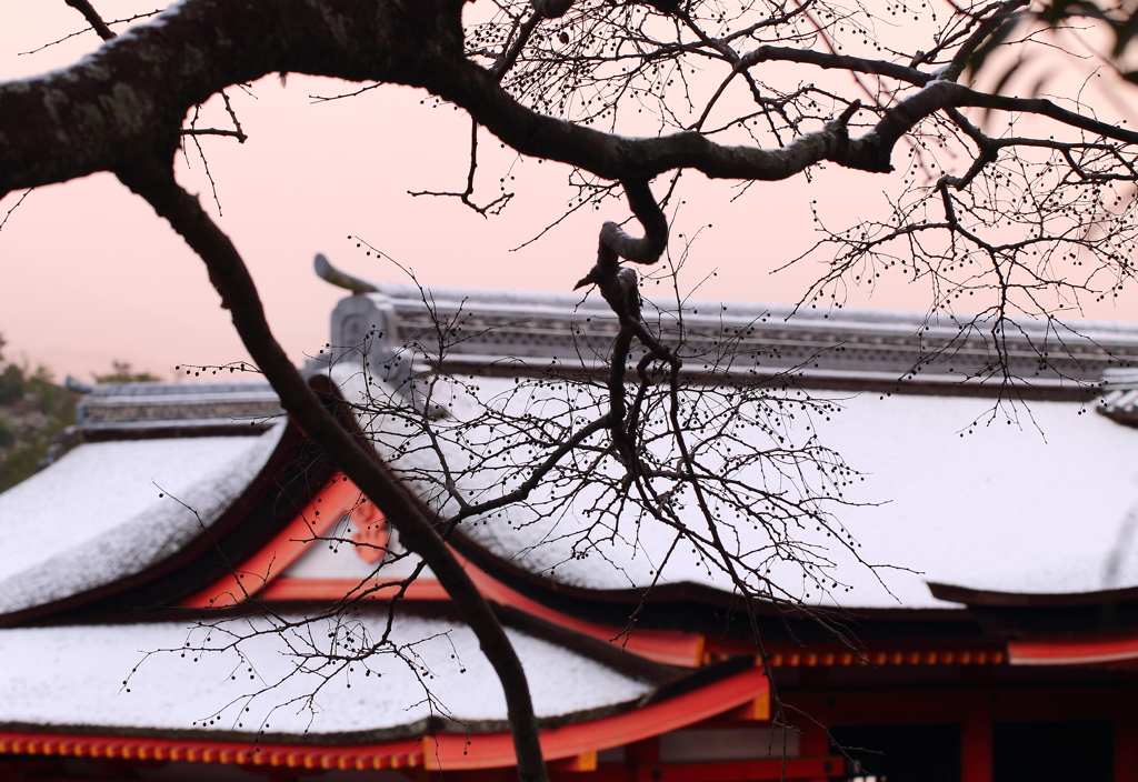 寒波襲来 厳島神社