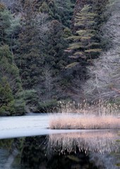 冬木立と凍ったベニマンサク湖