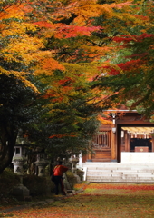 神社の秋を撮る人を撮る