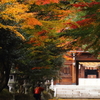 神社の秋を撮る人を撮る