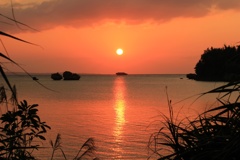 夕日