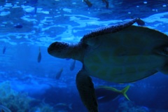 水族館