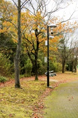 静かな公園