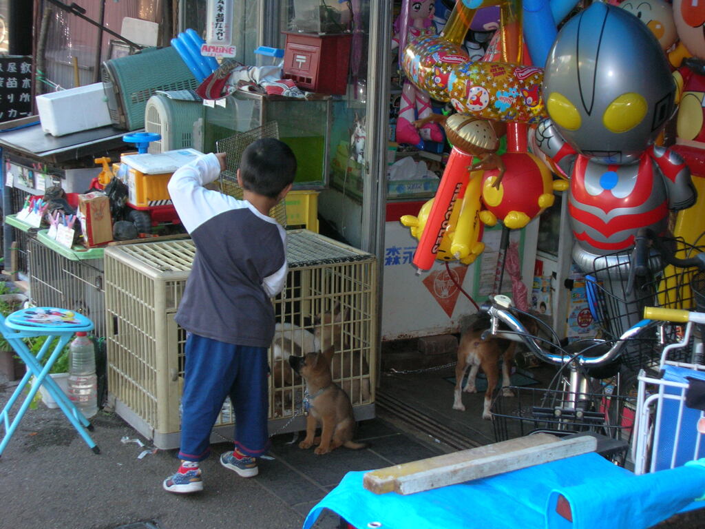 角館