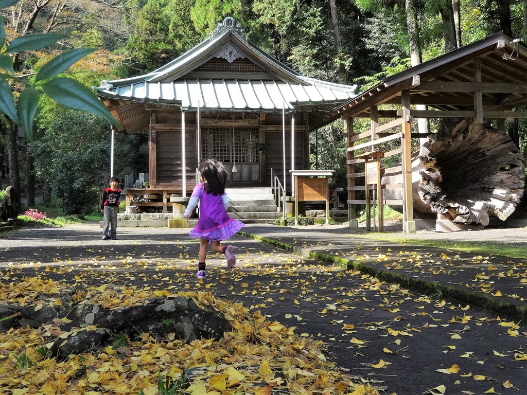 慈昌寺
