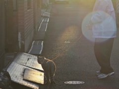 風格