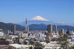 裏山から