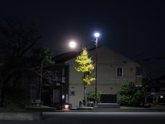 Cold Moon