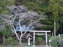 北矢部伊勢神明宮