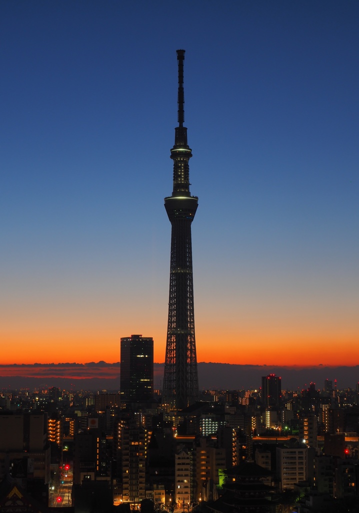 P2063170 スカイツリーと夜明