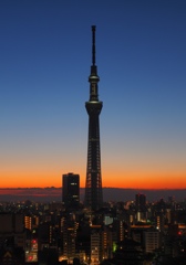 P2063170 スカイツリーと夜明