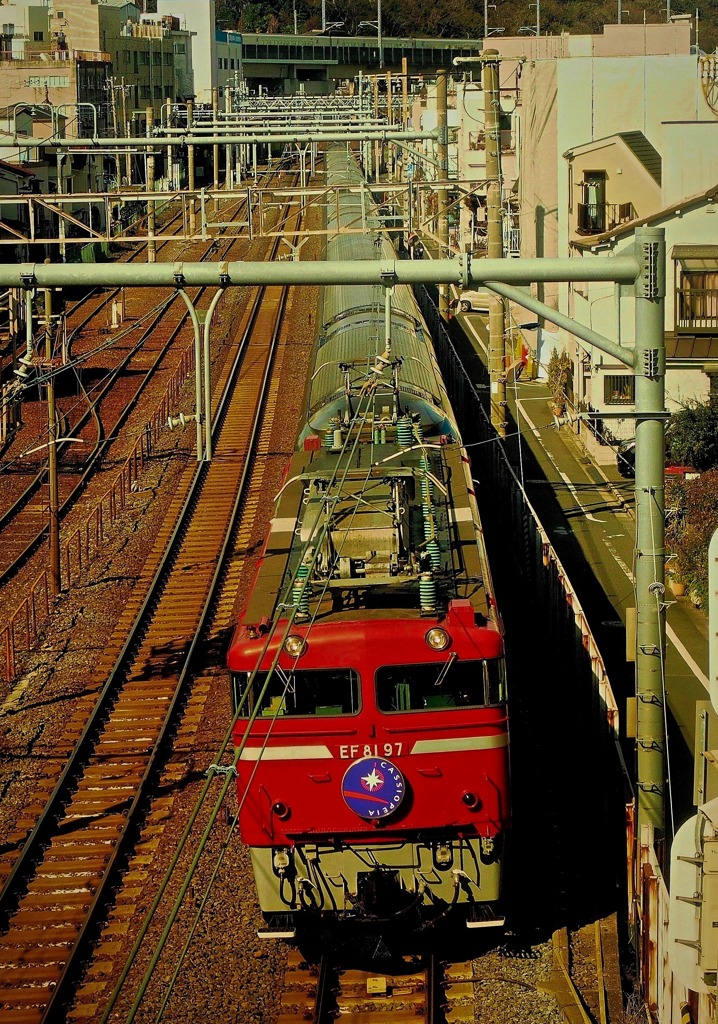 P3120045