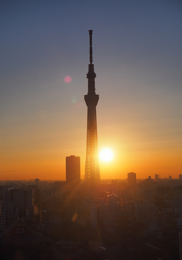 P2063230 スカイツリーと朝陽