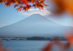 PB022729 河口湖紅葉まつり