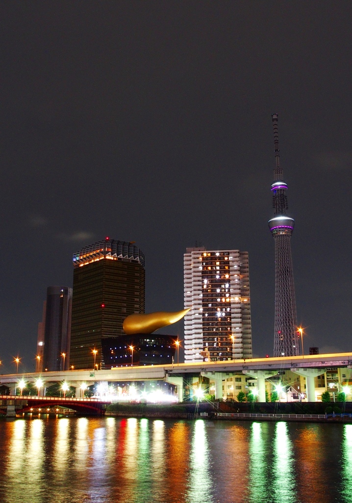 スカイツリーライトダウンキャンペーン