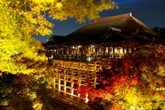 清水寺ライトアップ
