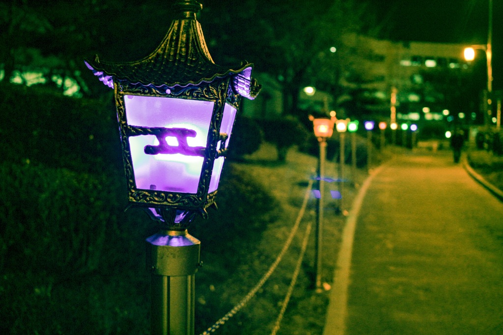 夜！