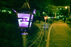 夜！