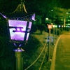 夜！