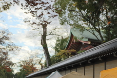 北野天満宮がチラッと