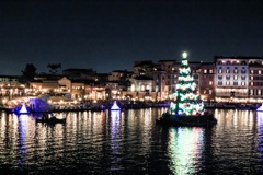 クリスマスの夜景！
