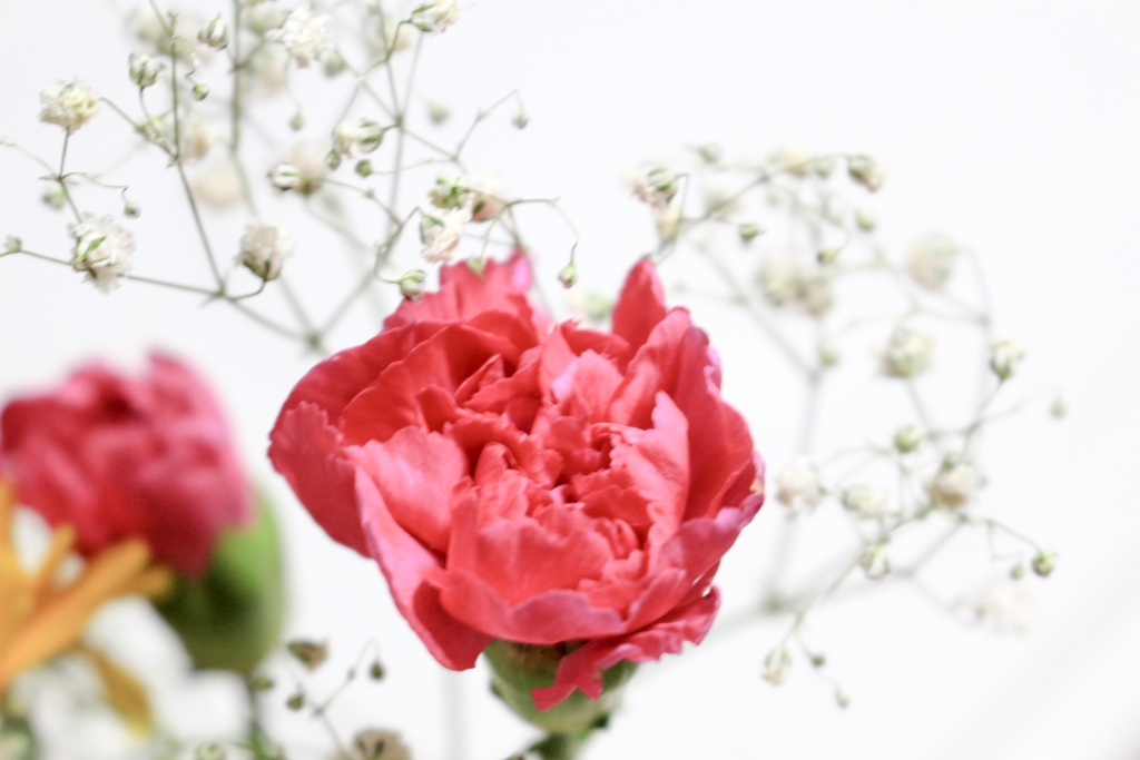 彼女からの花