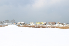 雪風景